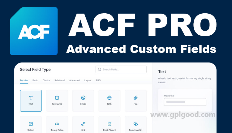 Advanced Custom Fields Pro (ACF) – Plugin WordPress – Key Lifetime Developer