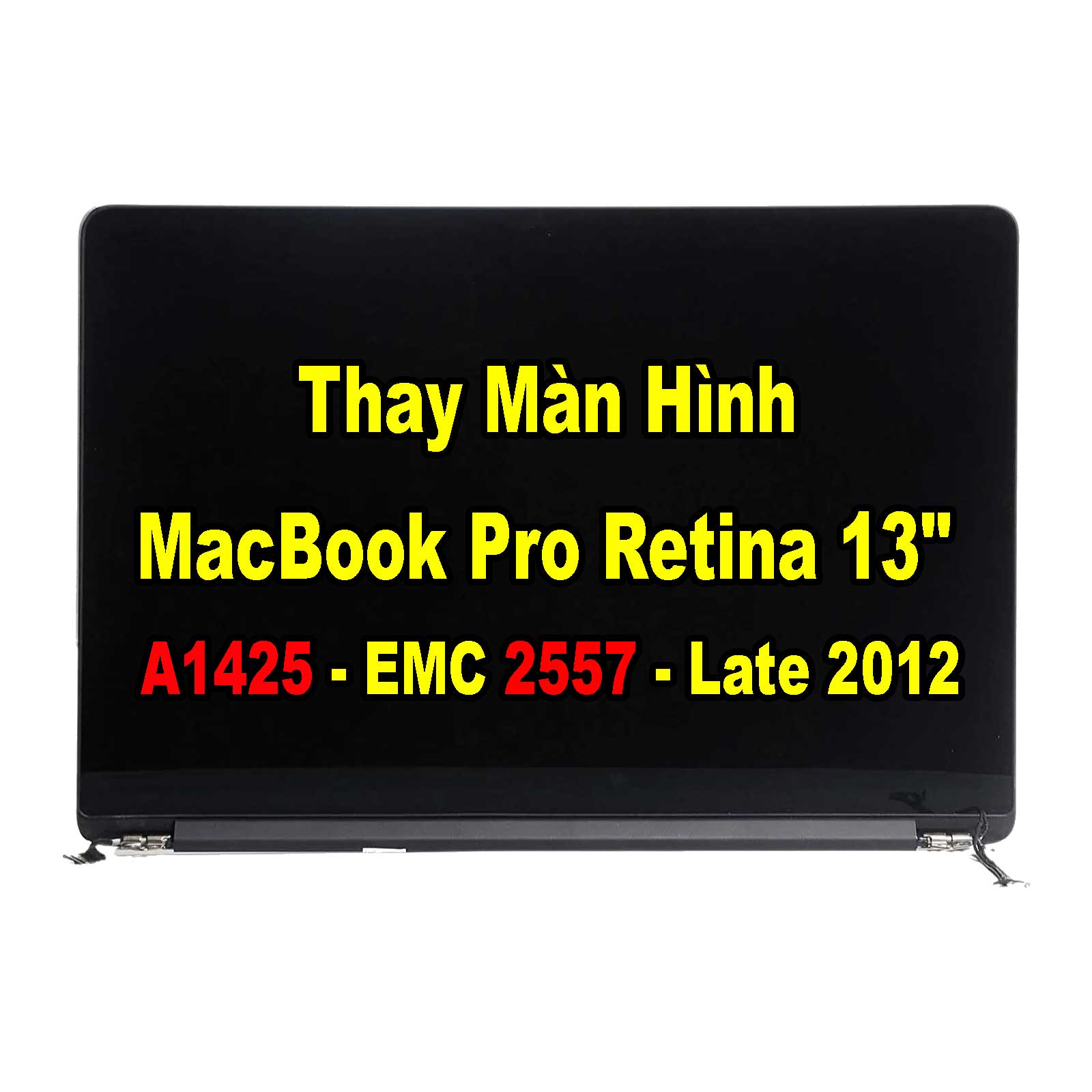 Thay Màn Hình MacBook Pro Retina 13inch A1425 - EMC 2557 Late 2012